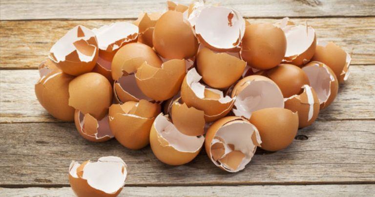 Pleier du å kaste eggeskall? Her er 9 tips til hvordan hagen kan dra nytte av dem!