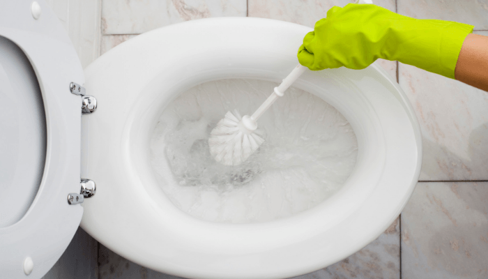 Med disse hjemmelagede rengjøringsbombene, slipper du å vaske toalettet igjen