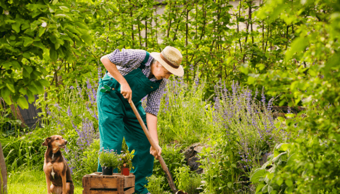 Én time med hagearbeid gjør mer for kroppen din enn hva du skulle tro