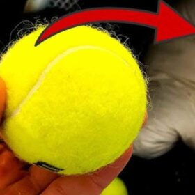 tennisball