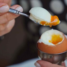 egg
