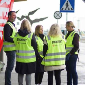 flystreik